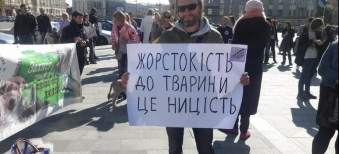 За законом, тварина — річ. Як зоозахисні організації намагаються це змінити