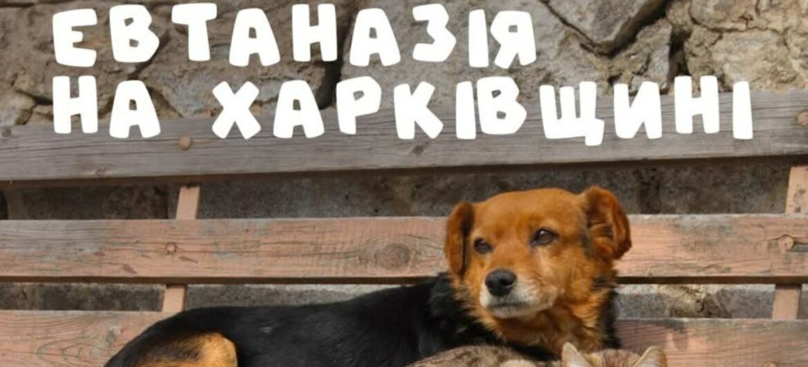 Заходи з ліквідації АЧС – порушують законодавство