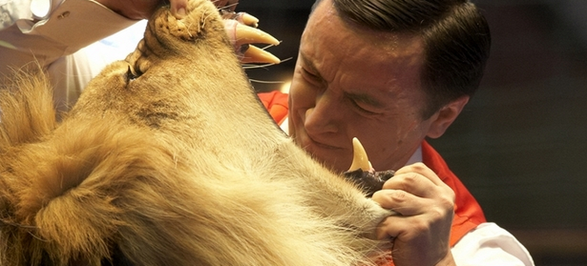 АЗОУ буде судити дресирувальників