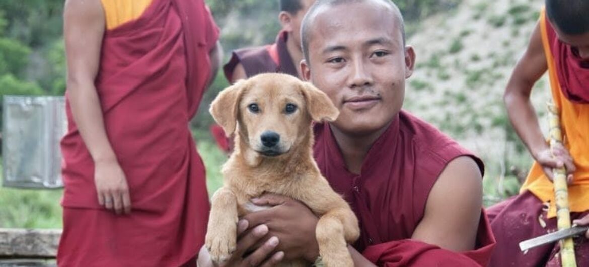 Це приклад для всього світу