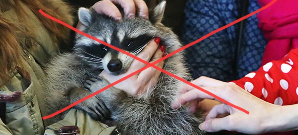 Контактні зоопарки – зло