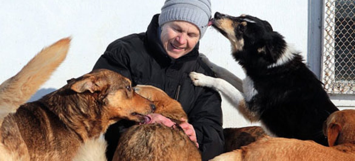 Відвідали Гостомельський притулок
