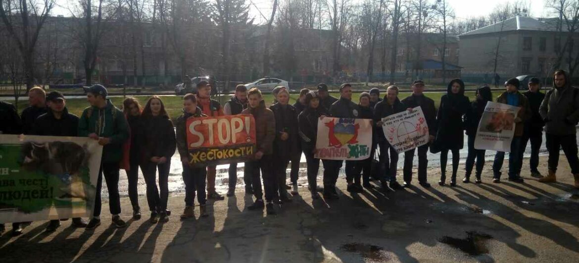 В Харкові влаштували акцію «Живодерку за ґрати»