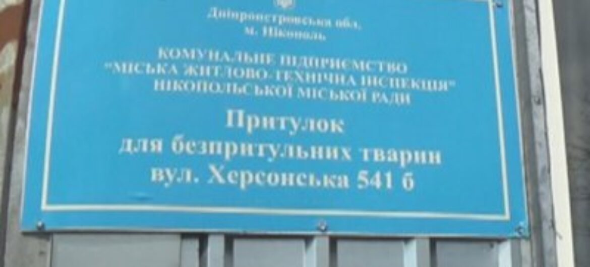 Свавілля в Нікополі: вбивають усіх собак