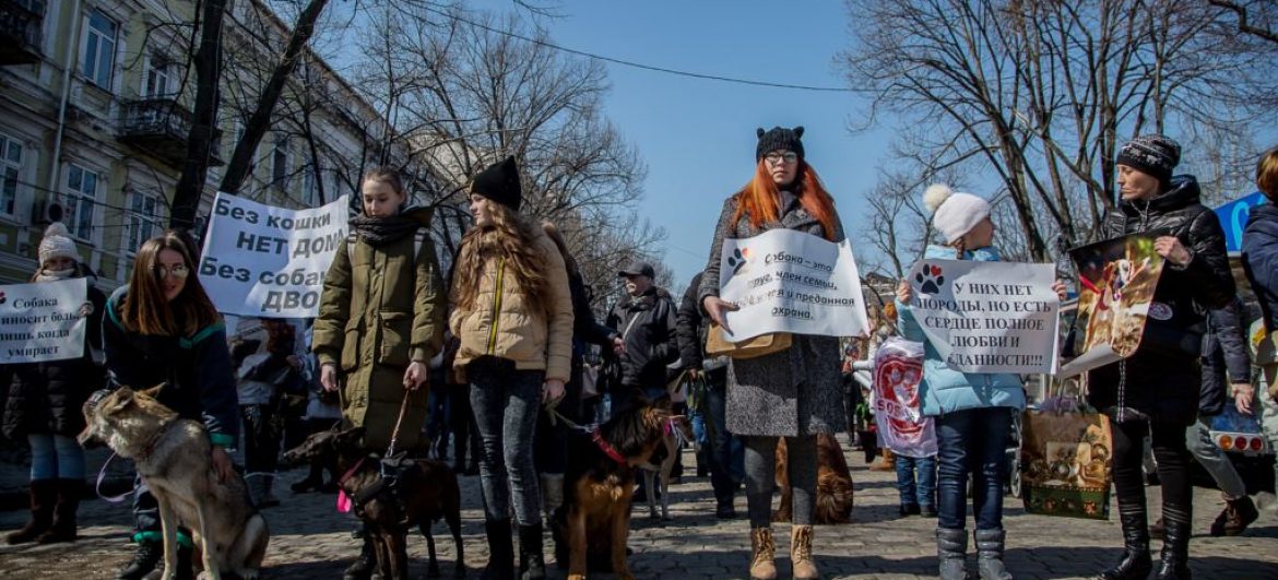 В Одесі пройшов марш врятованих собак