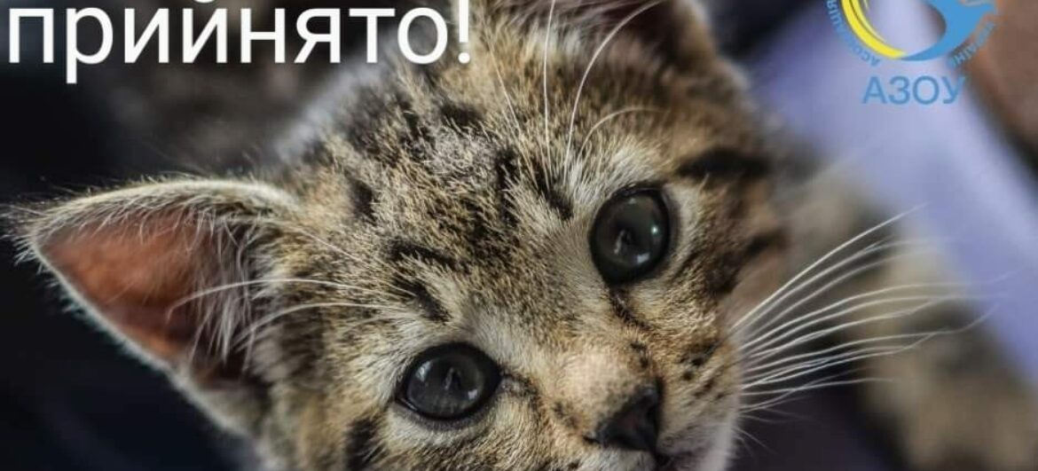 ВРУ прийняла законопроект 2351!