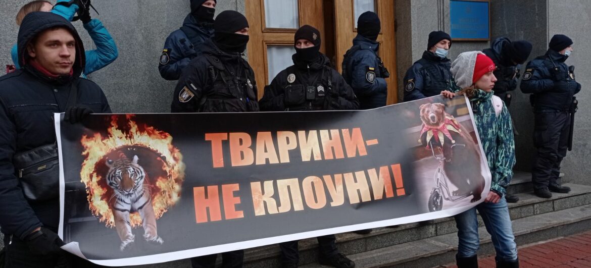 Під стінами ВРУ пройшов пікет зоозахисників