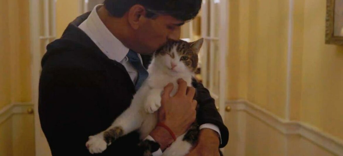 Ріші Сунак разом з котом у Різдвяну ніч