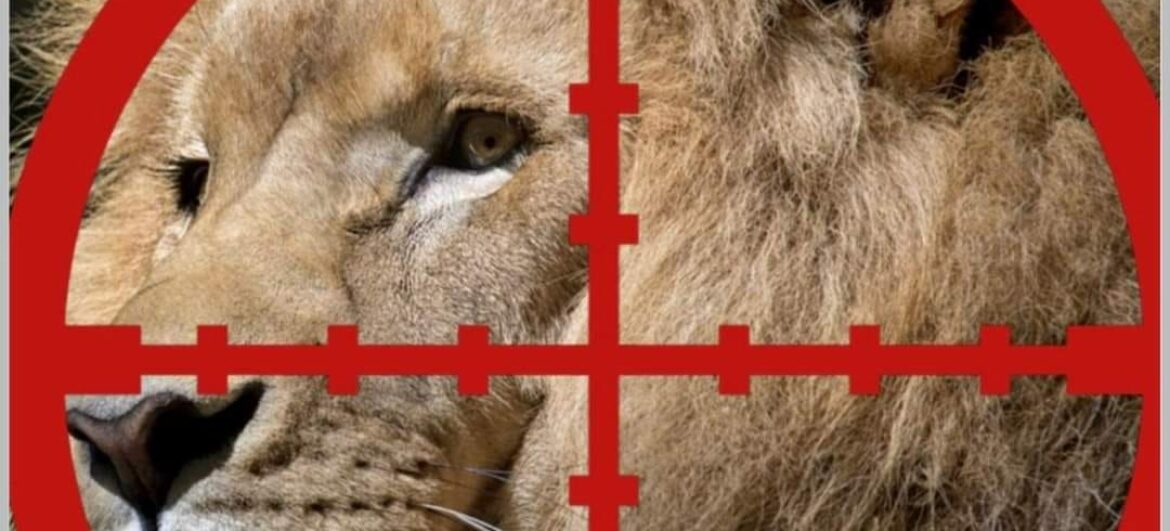 Жахливі секрети трофейного полювання