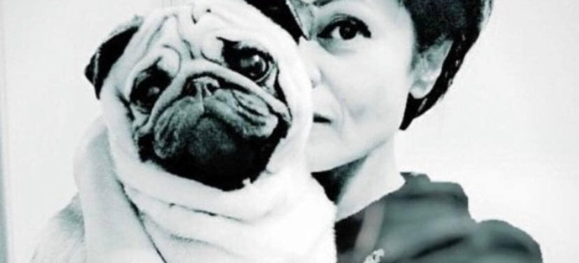 Чи існує відповідальність ветеринарів за неналежне лікування, яке призвело до загибелі тварини?